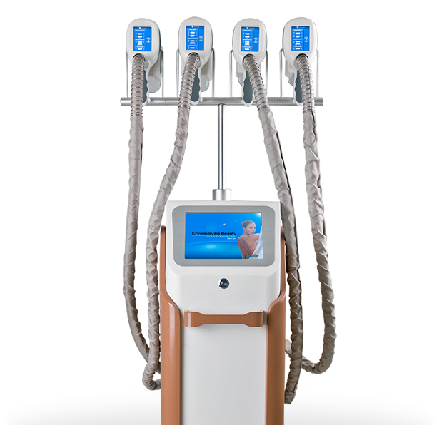 CryoSculpt Pro™ Cryolipolysis CryoSculpt Pro™ Cryolipolysis