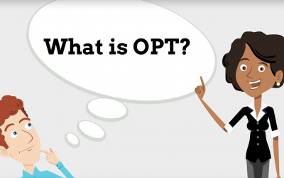 What is OPT? Click this article to know more information.